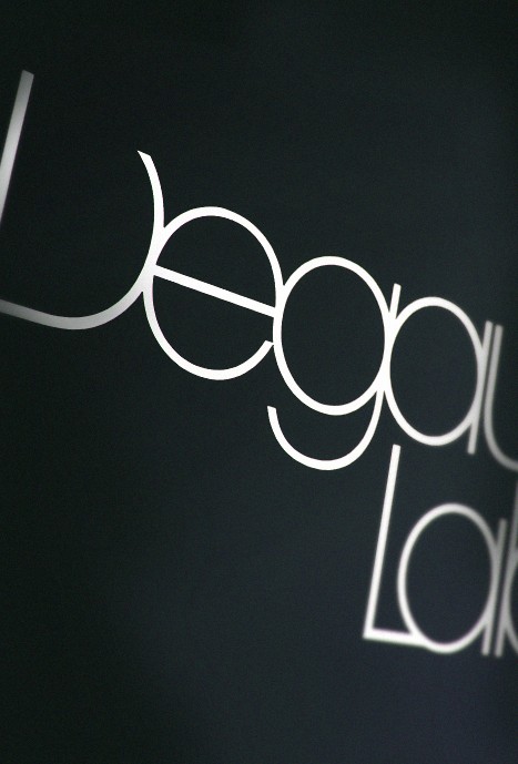 DegaussLabsLogoSkyltny